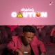 Caution Single