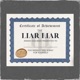 Liar Liar Single