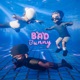 Bad Bunny Single