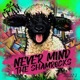 NEVER MIND THE SHAMROCKS PART 1 EP