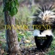 Dynamic Trend Single