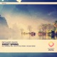 Sweet Spring Single