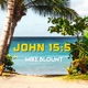 John 15 5 Single