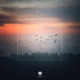Deep City Glow Single