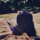 Trash Day V EP