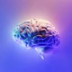 Braincation