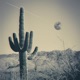 MudFilledDreams feat Sixthells Single