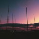 Auroral Light Single