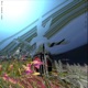 Society Says feat Haz Fox Single