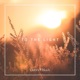 To the Light Single