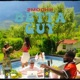 Betta Guy Single