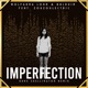 Imperfection Duke Skellington Remix feat Zouzoulectric EP