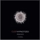 Hypnotized Remixes