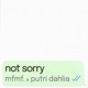 not sorry Single