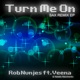Turn Me On feat Veena Natalie Marchenko Sax Remix EP