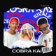Cobra Kai feat RIVALZ Single