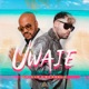 Uwaie Single