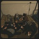 40 Tox Single