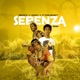 Sebenza Remix Single