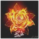 Zide Single