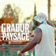 Paysage Single