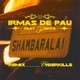 SHAMBARALAI CYBERKILLS REMIX Single