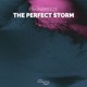 The Perfect Storm Single