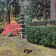 Kiyo Single