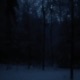 dark snowy night Single