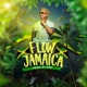 Flow Jamaica Single
