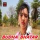 Budha Bhatar Single