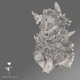 Ghost Single
