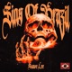 SINS OF BRAZIL SLOWED REVERB Single