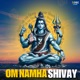 Om Namha Shivay EP