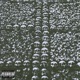 To the Grave Single