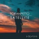 Satellite Single