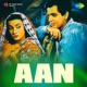 Aan Original Motion Picture Soundtrack