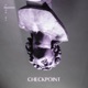 Checkpoint Single