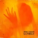 Lonely Single
