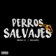 Perros Salvajes Single