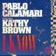 I Know feat Kathy Brown