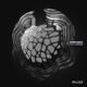 Rage in Heaven Single