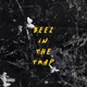 Beez In The Trap Single
