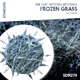 Frozen Grass feat Wiktoria Betlinska Single