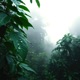 A Memory Dissolving EP