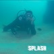 Splash Single