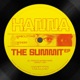 The Summit Single
