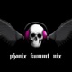 Phonix Kummt Nix EP