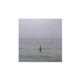 Despair Has Its Own Calms Single