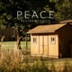 peace Single